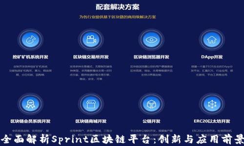 
全面解析Sprint区块链平台：创新与应用前景