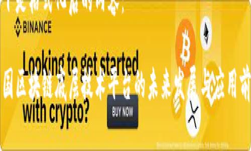 以下是格式化后的内容：

中国区块链底层技术平台的未来发展与应用前景