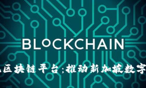 李显龙发现区块链平台：推动新加坡数字经济的未来