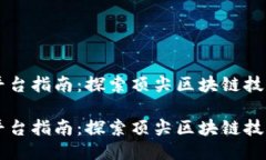 区块链平台指南：探索顶尖区块链技术与应用区