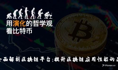 : 全面解析区块链平台：提升区块链应用性能的关键