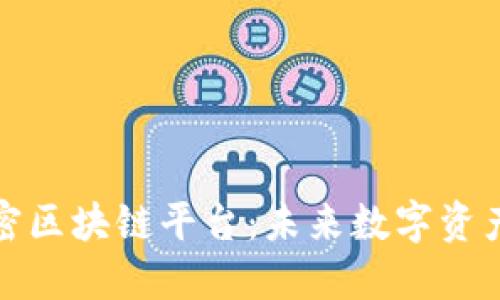 可搜索的加密区块链平台：未来数字资产的革命之路