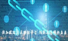 新加坡政府区块链平台：创新与透明的未来