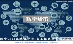 探索Labs区块链平台：未来技术的创新与应用