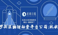 深入了解俄罗斯区块链融资平台公司：现状、发