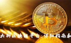: 如何顺利注册大狮区块链平台：详细指南和常见