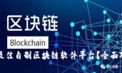 怎么选择最佳自制区块链软件平台？全面对比与