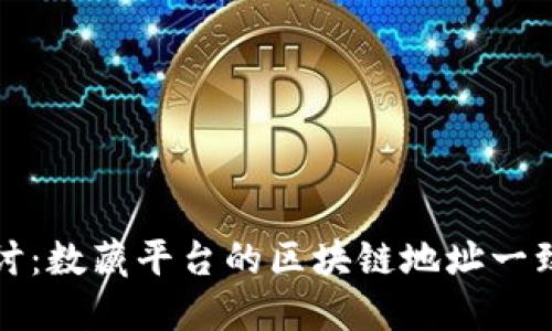 深入探讨：数藏平台的区块链地址一致性问题