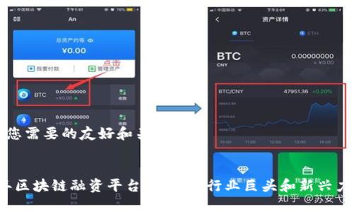 以下是您需要的友好和关键词：

  
2023年区块链融资平台排名榜：行业巨头和新兴力量一览
