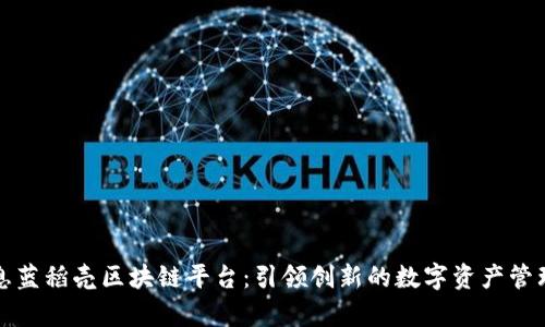 天喻信息蓝稻壳区块链平台：引领创新的数字资产管理新篇章