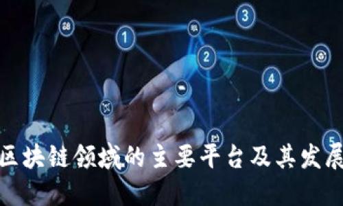 湖南区块链领域的主要平台及其发展现状