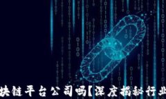 你了解广东的区块链平台公司吗？深度揭秘行业
