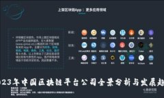 2023年中国区块链平台公司全景分析与发展趋势