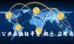 深入理解公共区块链平台：概念、应用与未来发