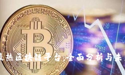 国内最热区块链平台：全面分析与未来展望