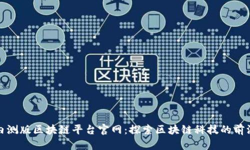 小米内测版区块链平台官网：探索区块链科技的前沿之路