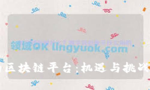 黑客眼中的区块链平台：机遇与挑战的深度解析