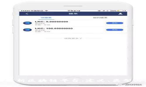 全面解析区块链平台：定义、类型与应用