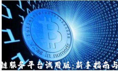 
探索区块链服务平台试用版：新手指南与深度分析