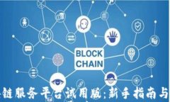 探索区块链服务平台试用版：新手指南与深度分