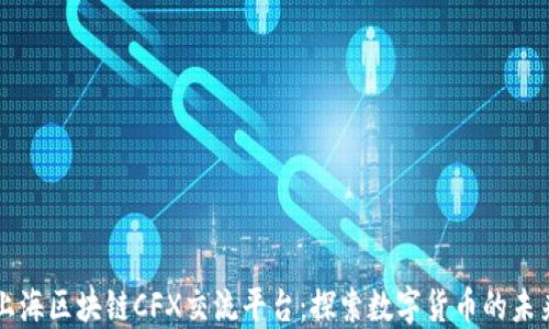 
上海区块链CFX交流平台：探索数字货币的未来