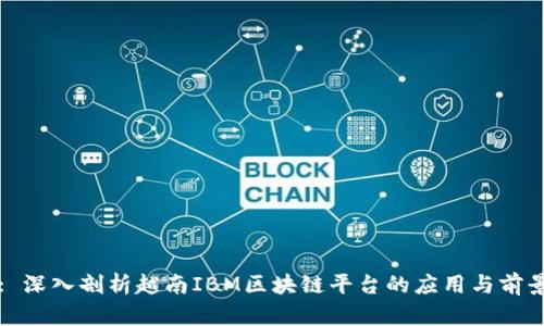 : 深入剖析越南IBM区块链平台的应用与前景