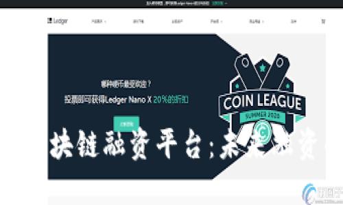 探索丹麦区块链融资平台：未来融资的新选择