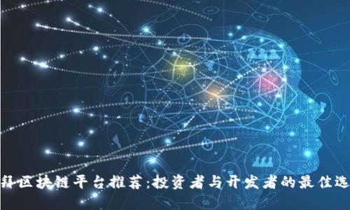 迪拜区块链平台推荐：投资者与开发者的最佳选择