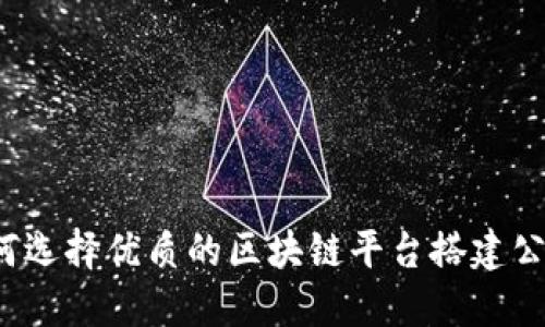 如何选择优质的区块链平台搭建公司？