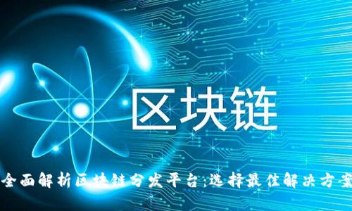 全面解析区块链分发平台：选择最佳解决方案