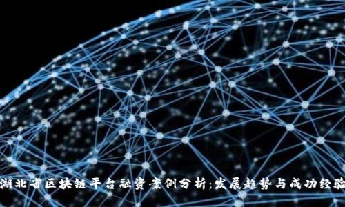 湖北省区块链平台融资案例分析：发展趋势与成功经验