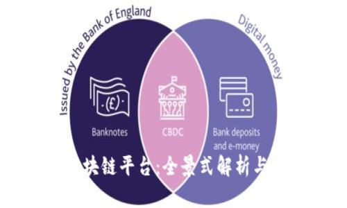 币虎网区块链平台：全景式解析与使用指南