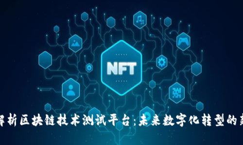 全面解析区块链技术测试平台：未来数字化转型的新机遇