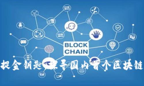 在数字浪潮中捕捉金钥匙：探寻国内首个区块链平台的传奇之旅