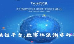 贵阳区块链平台：数字化浪潮中的贵阳之舟