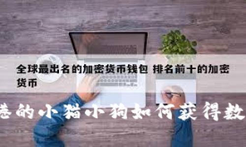 在区块链的乐园中，香港的小猫小狗如何获得数字资产的“毛绒绒”生活