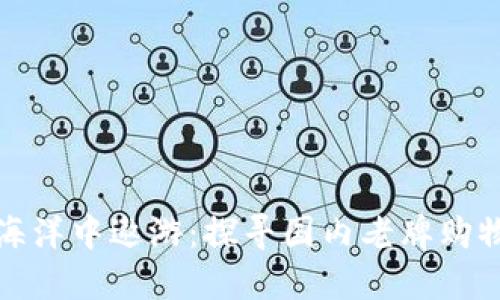 在区块链的海洋中遨游：探寻国内老牌购物平台的宝藏