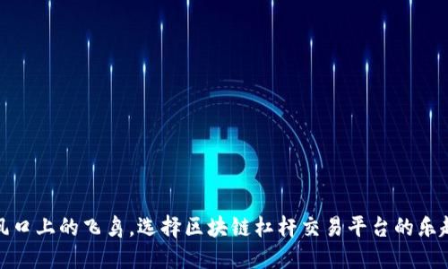 像骑在风口上的飞鸟，选择区块链杠杆交易平台的乐趣与智慧