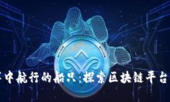 像是在数字海洋中航行的船只：探索区块链平台