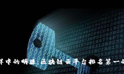 像寻找海洋中的明珠：区块链云平台排名第一的公司揭晓