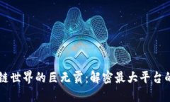区块链世界的巨无霸：解密最大平台的魅力