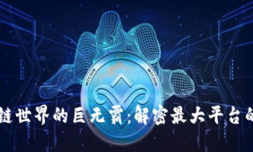 区块链世界的巨无霸：解密最大平台的魅力