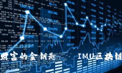 将信息化变成财富的金钥匙——IMU区块链平台探索之旅
