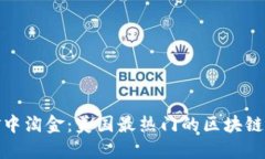 像是在数字金矿中淘金：美国最热门的区块链挖