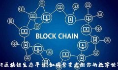   NE区块链生态平台：如同繁星点缀你的数字世界