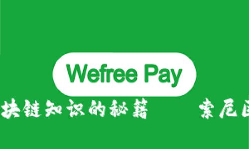 像魔法一样，掌握区块链知识的秘籍——索尼区块链教育平台下载