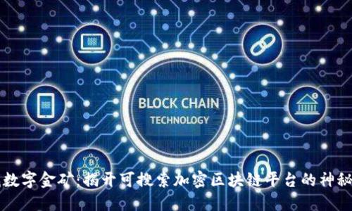  “寻找数字金矿：揭开可搜索加密区块链平台的神秘面纱！”