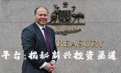 国内ICO区块链平台：揭秘新兴投资渠道与未来发