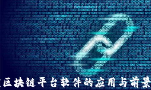 
重庆区块链平台软件的应用与前景分析