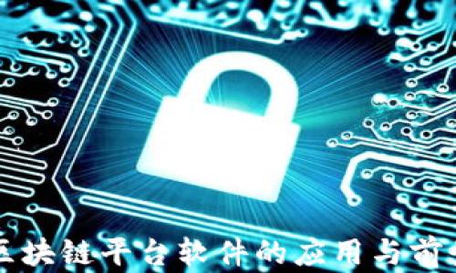 
重庆区块链平台软件的应用与前景分析